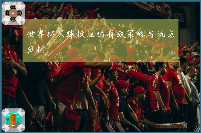 世界杯买球投注的有效策略与坑点分析
