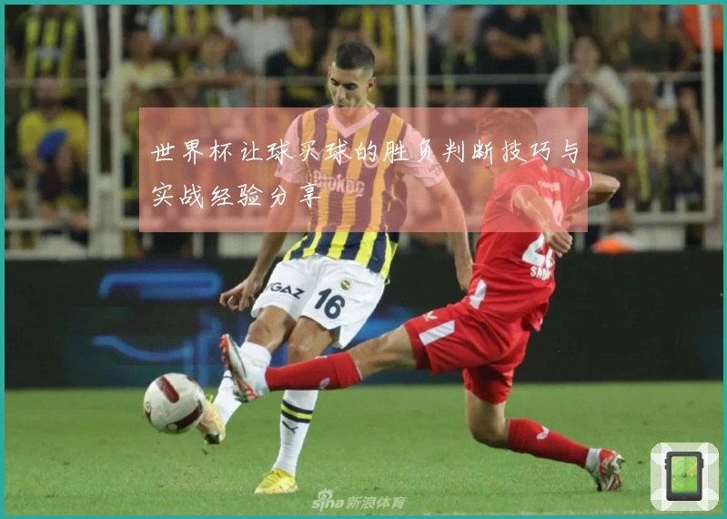 世界杯让球买球的胜负判断技巧与实战经验分享