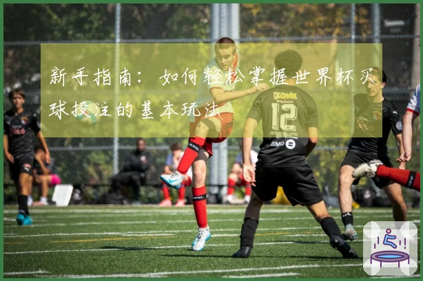 新手指南：如何轻松掌握世界杯买球投注的基本玩法
