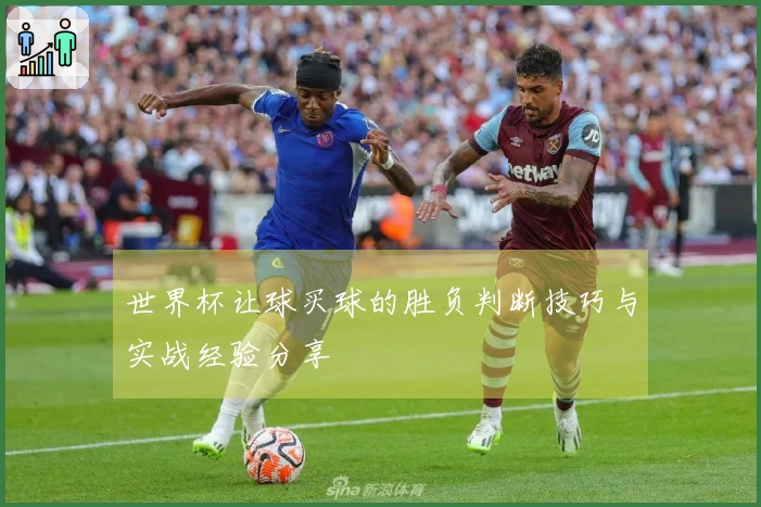 世界杯让球买球的胜负判断技巧与实战经验分享