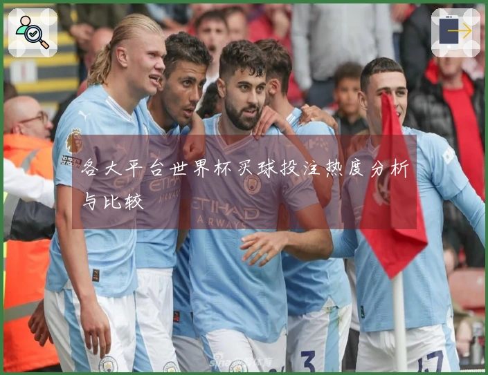 各大平台世界杯买球投注热度分析与比较