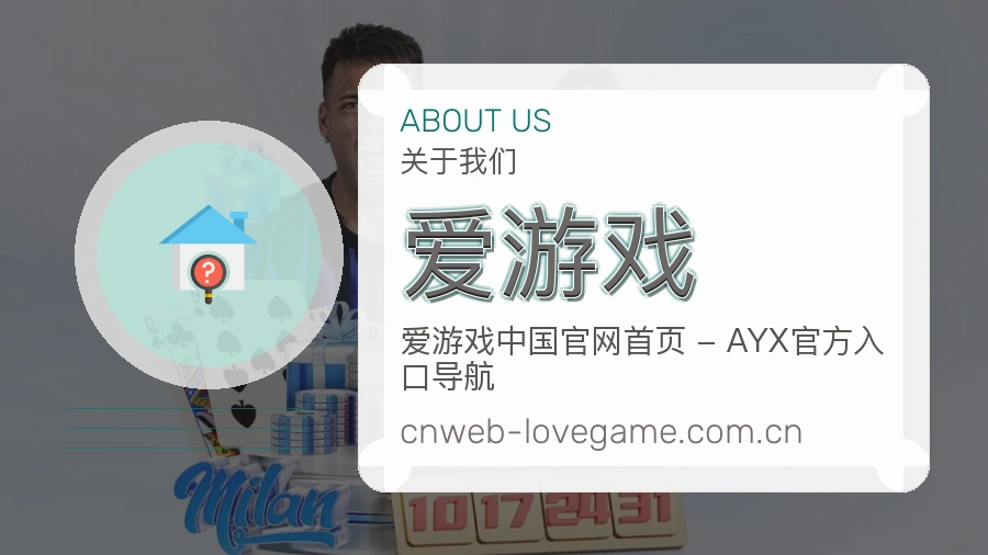 关于 爱游戏
